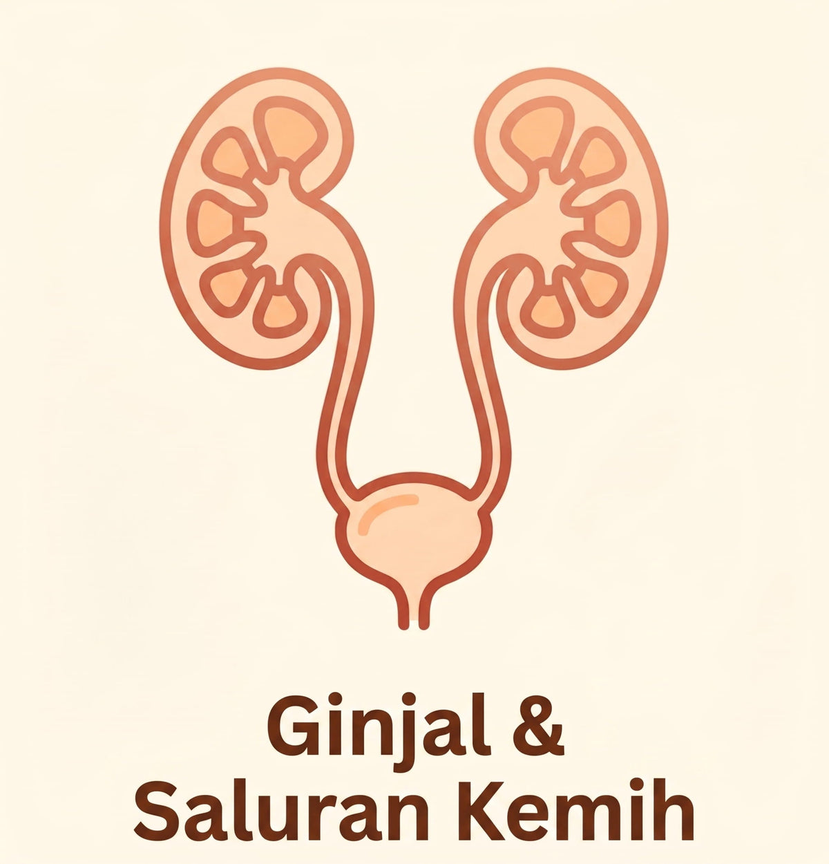 Saluran kemih dan ginjal