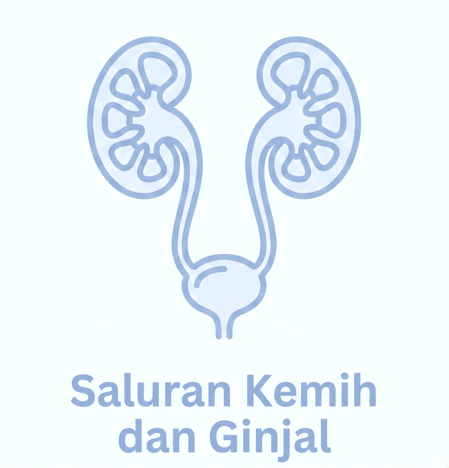 Saluran kemih dan ginjal