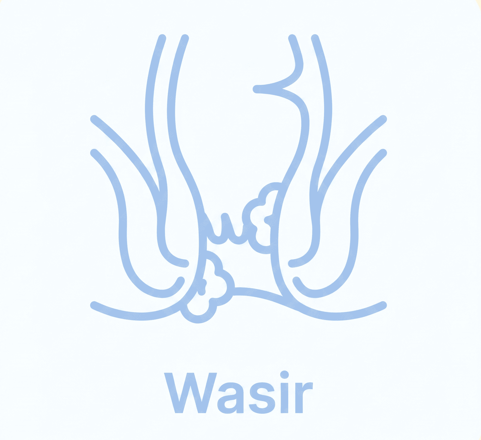 Wasir