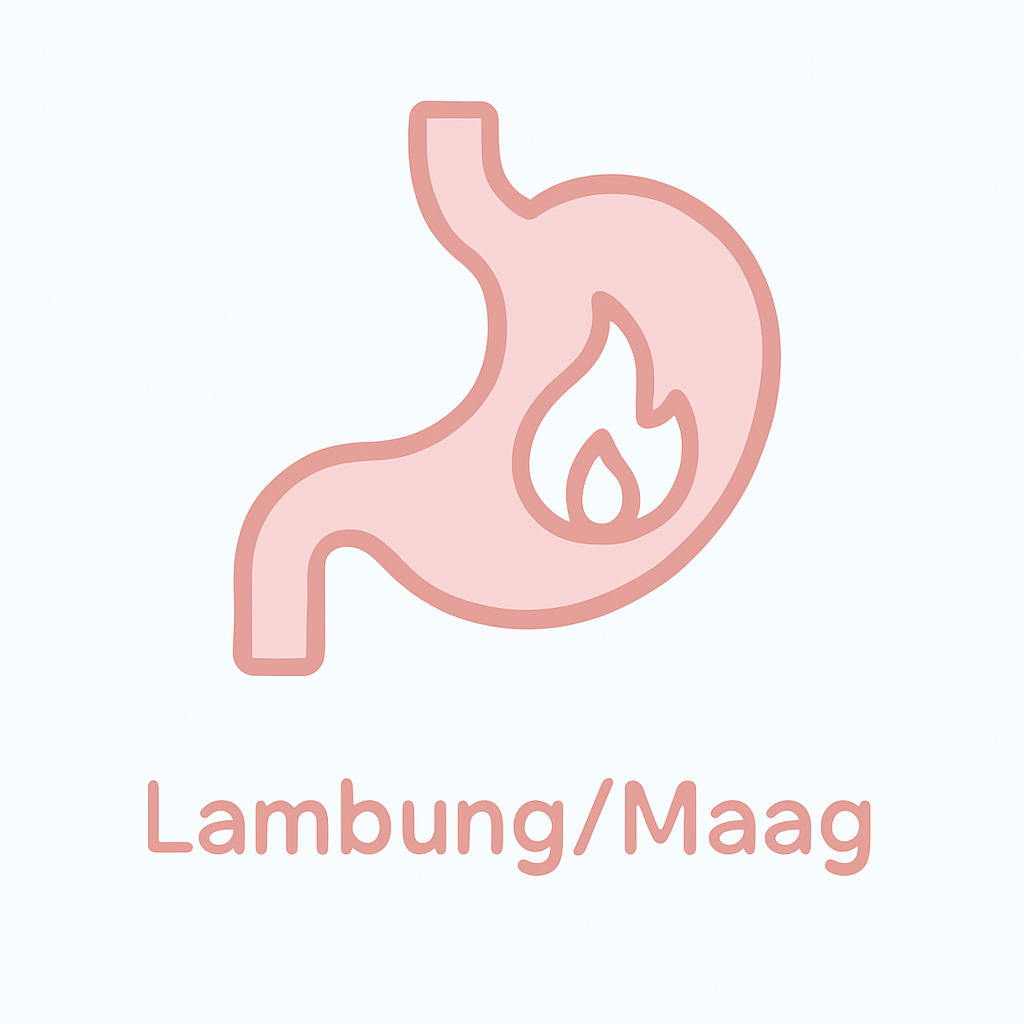 Lambung / Maag