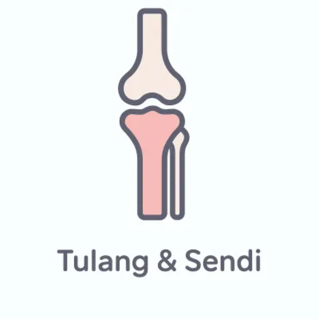 Sendi & Tulang