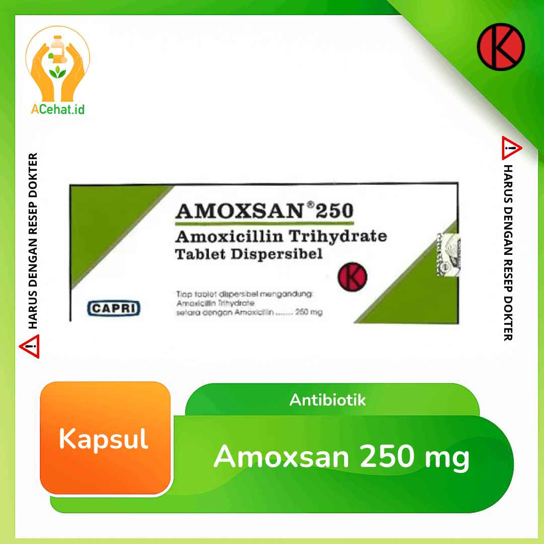 Amoxsan 250 mg Kapsul
