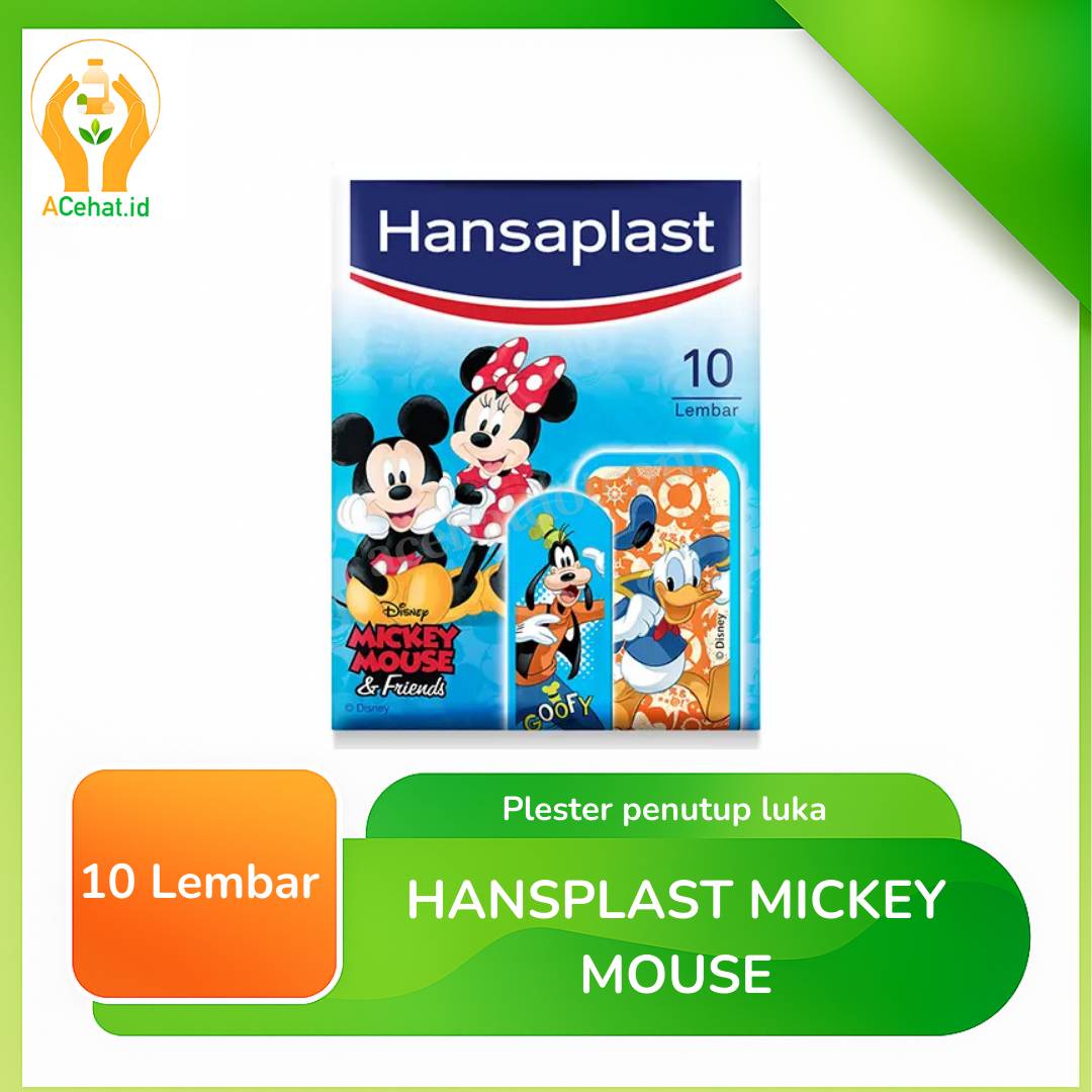 HANSAPLAST KIDS M ICKEYS & FRIENS ISI 10