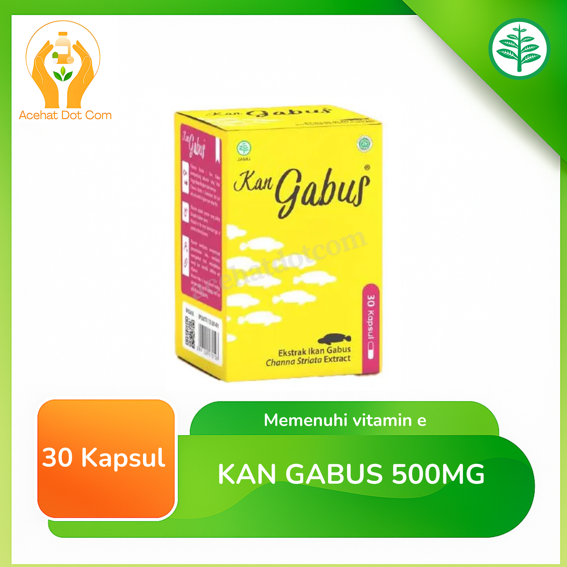KAN GABUS 500 MG 30 KAPSUL