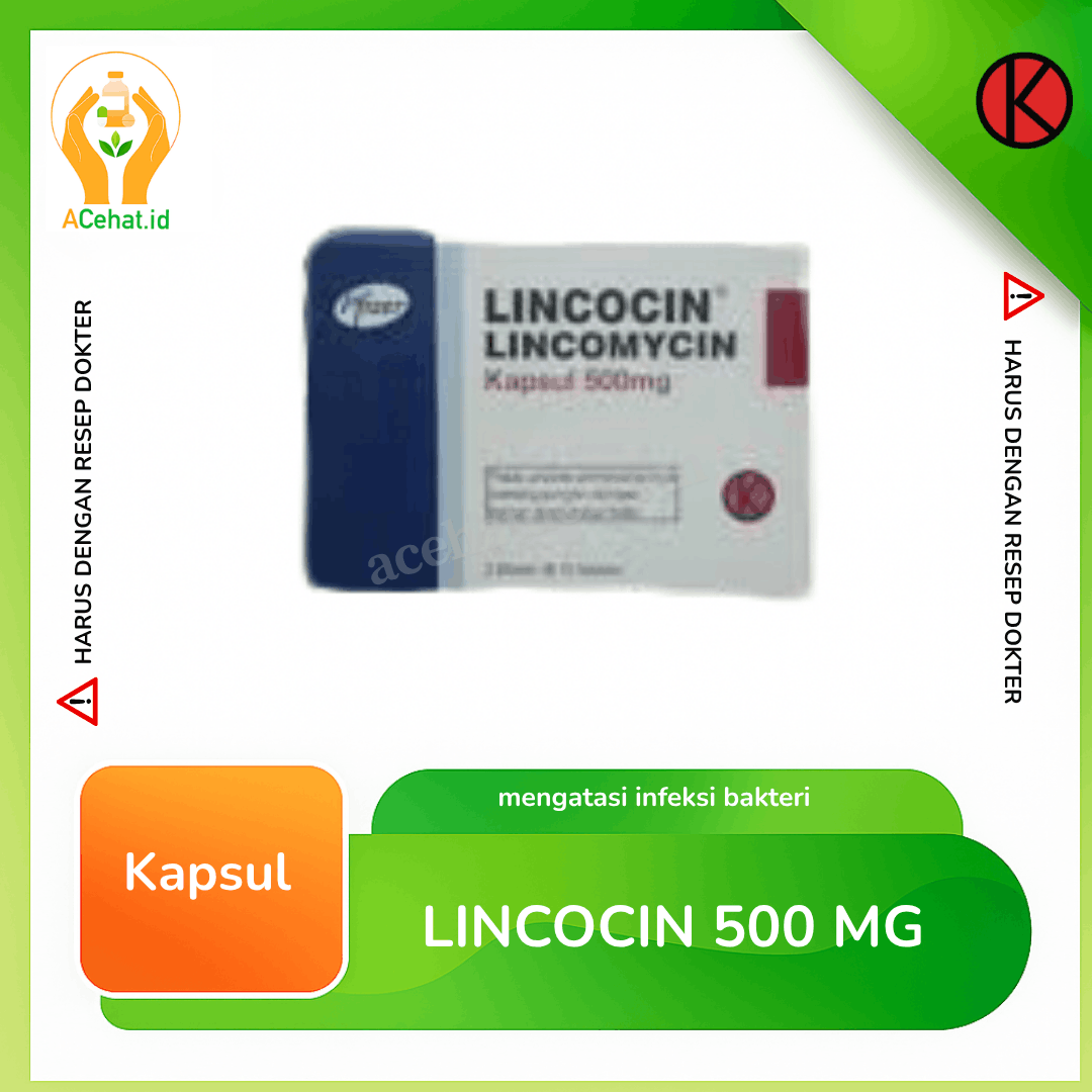 Lincocin 500 mg Kapsul