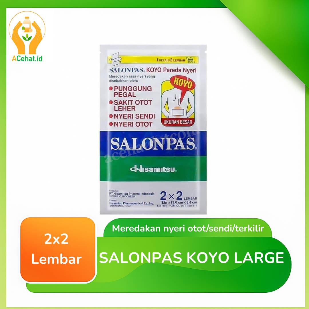 SALONPAS KOYO LARGE 2 X 2 LEMBAR