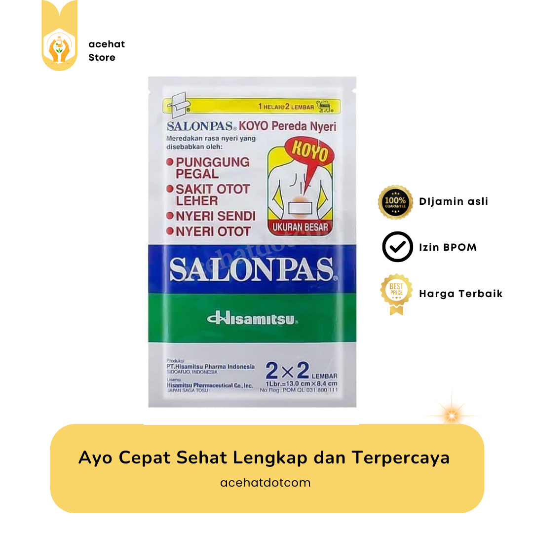 SALONPAS KOYO LARGE 2 X 2 LEMBAR