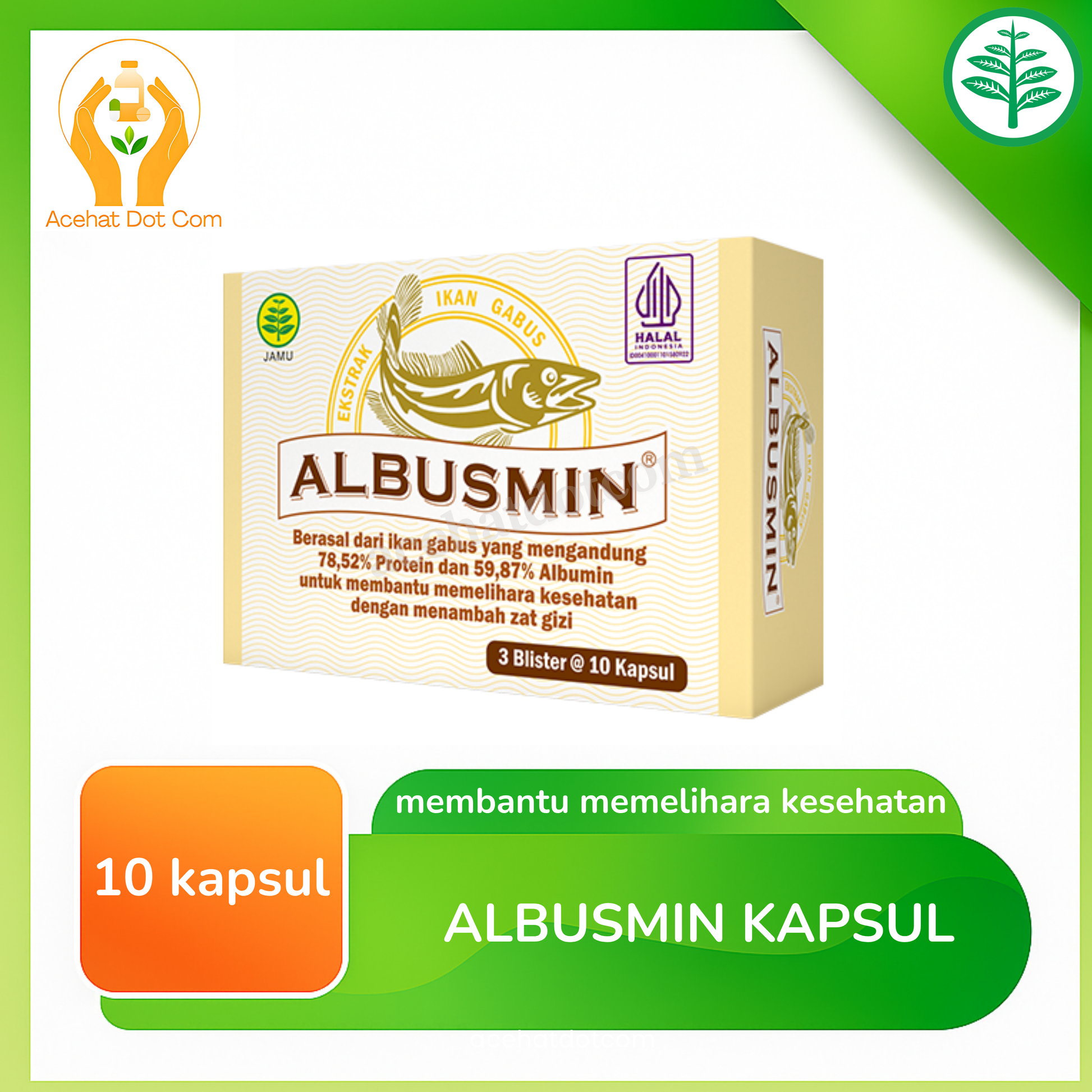 ALBUSMIN 3 BLISTER @10 KAPSUL